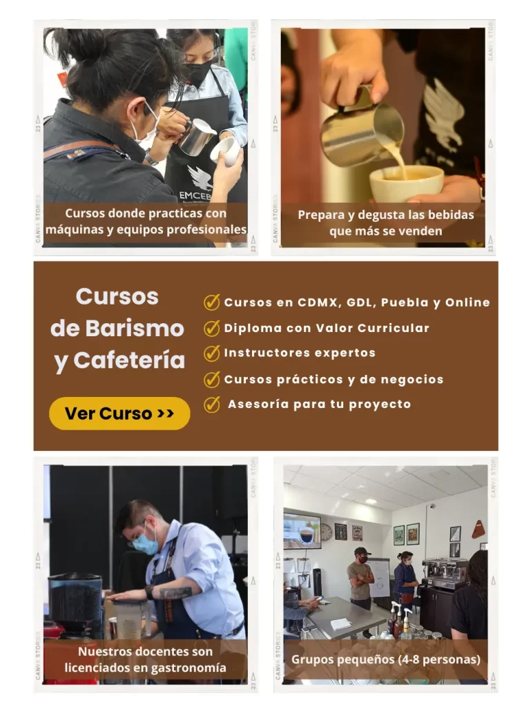Cursos emcebar