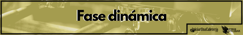 Fase dinámica