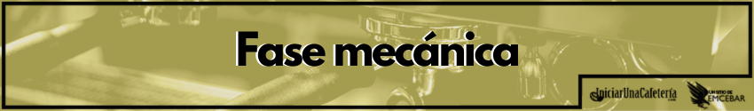 Fase mecánica