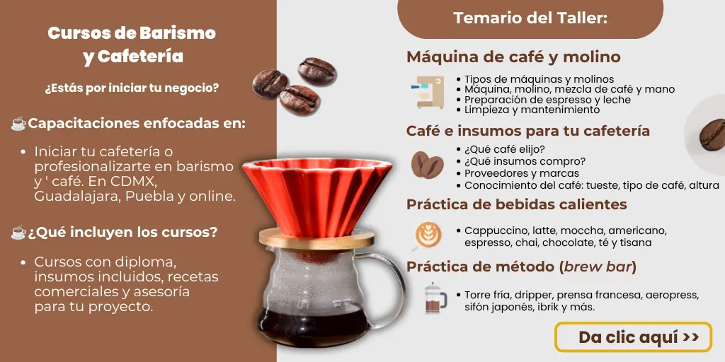 Curso Barismo