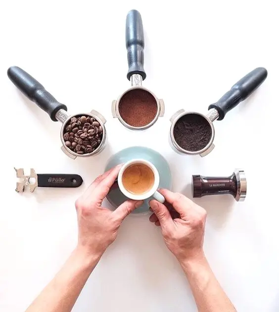 Proveedores de insumo 